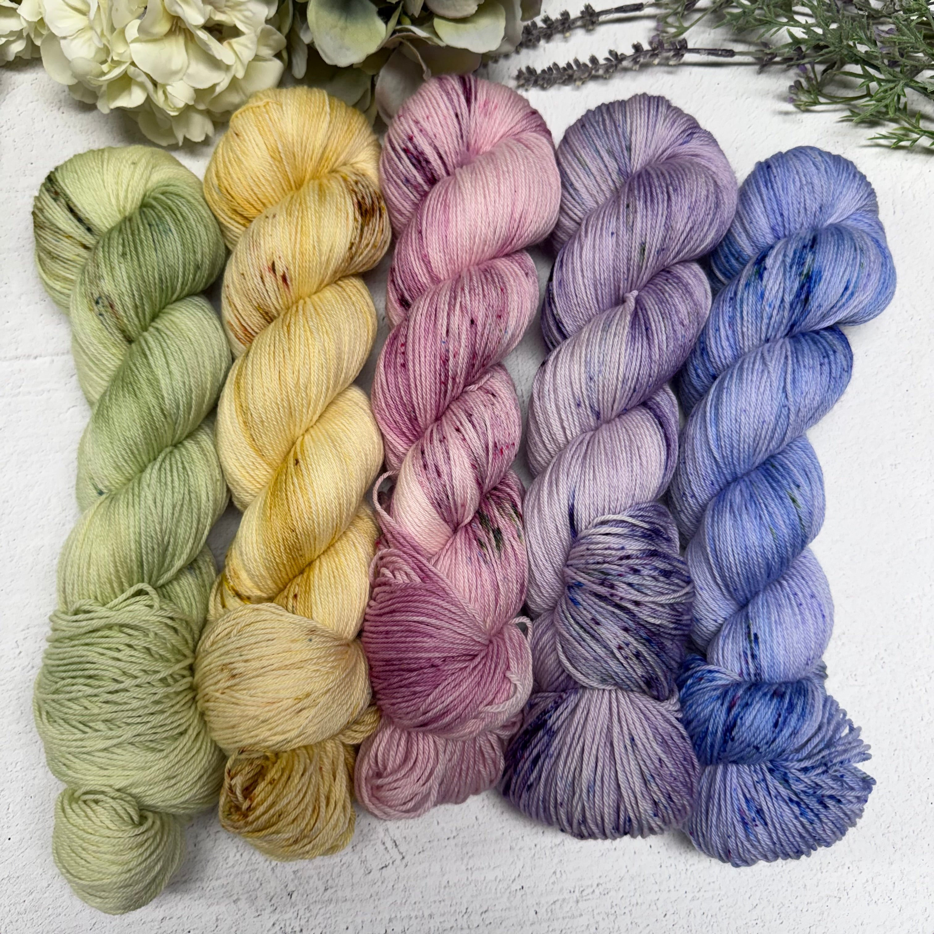 butterfly season collection fade 🦋🌈☀️