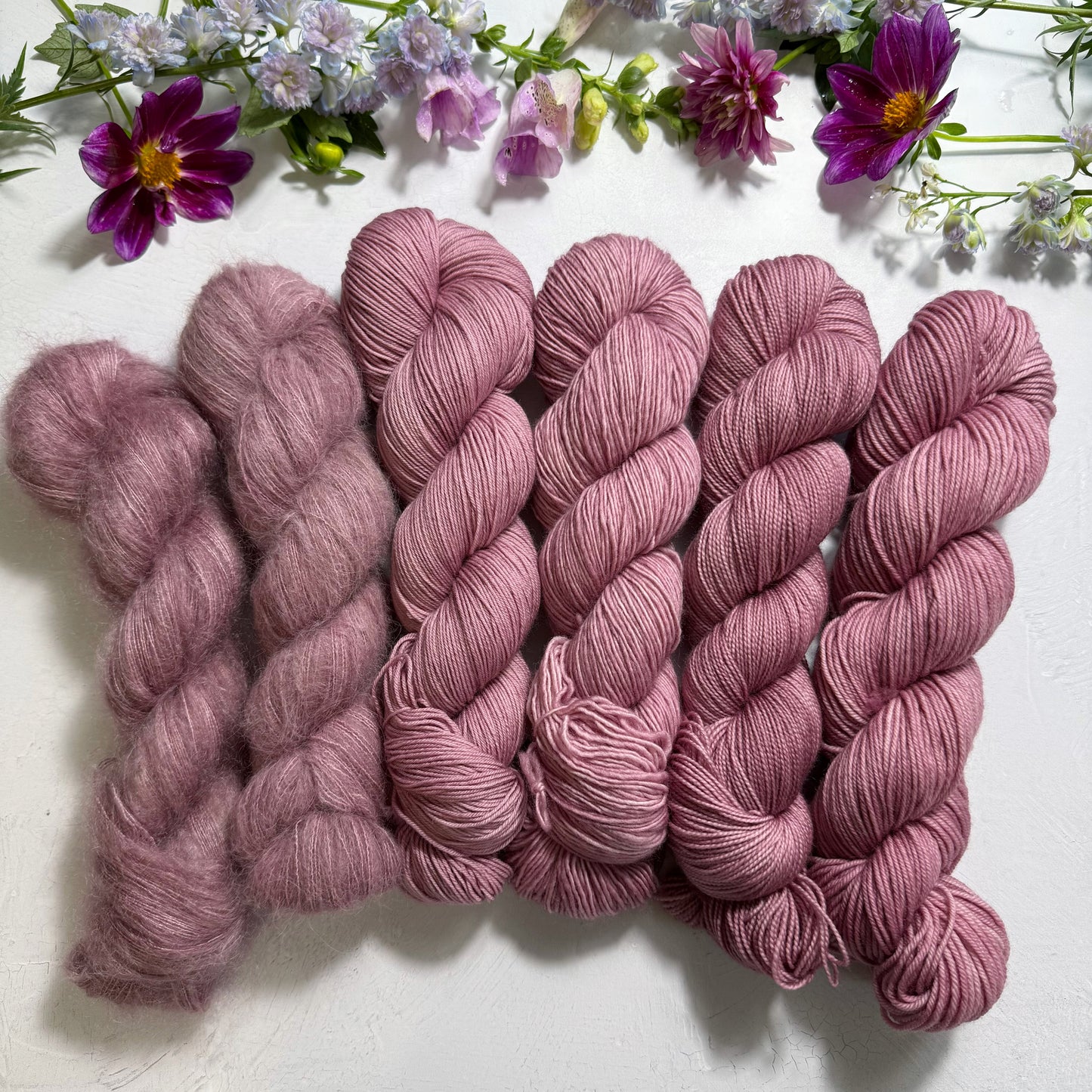 Peony Petal 💐