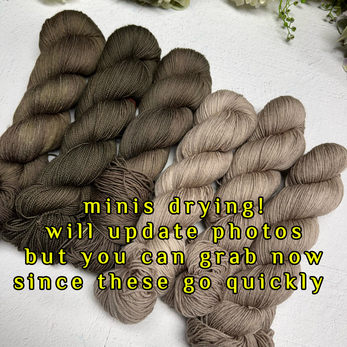 IN STOCK! hazel olive+ whispers in the autumn wind pristine sock set!