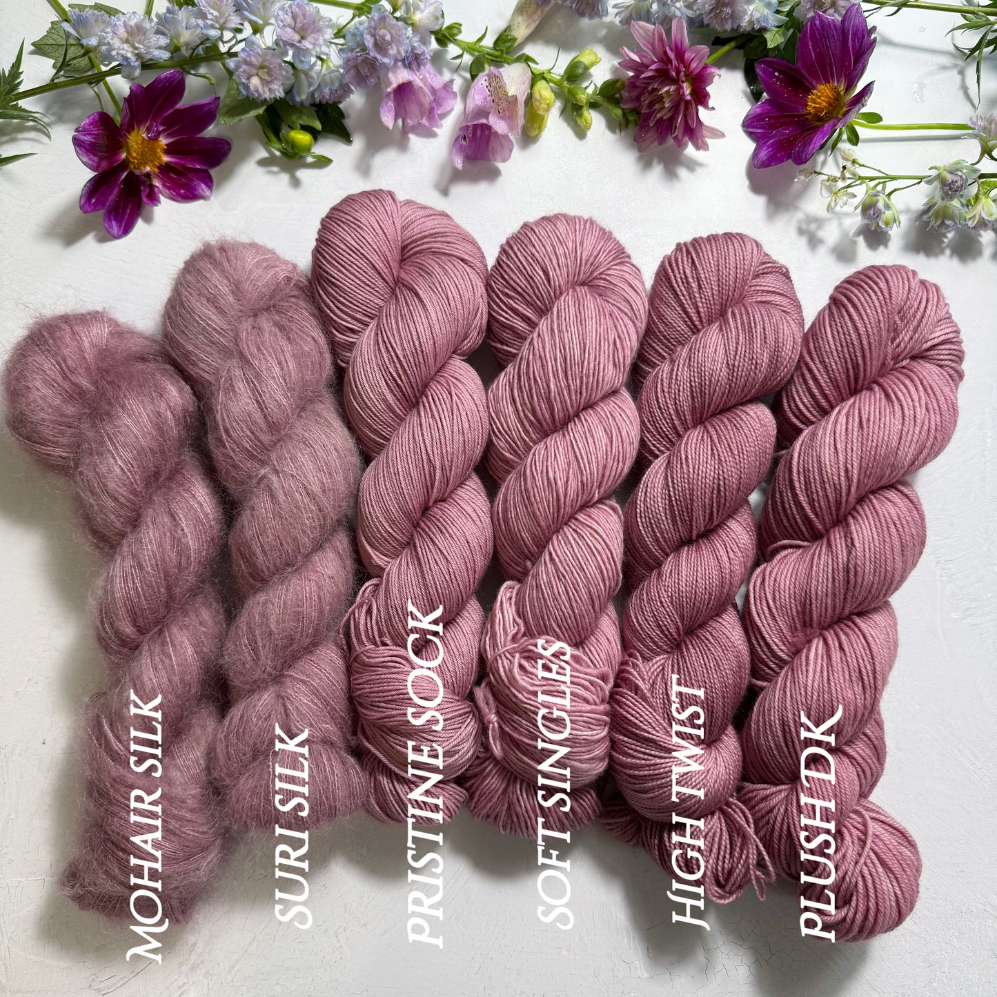 Peony Petal 💐