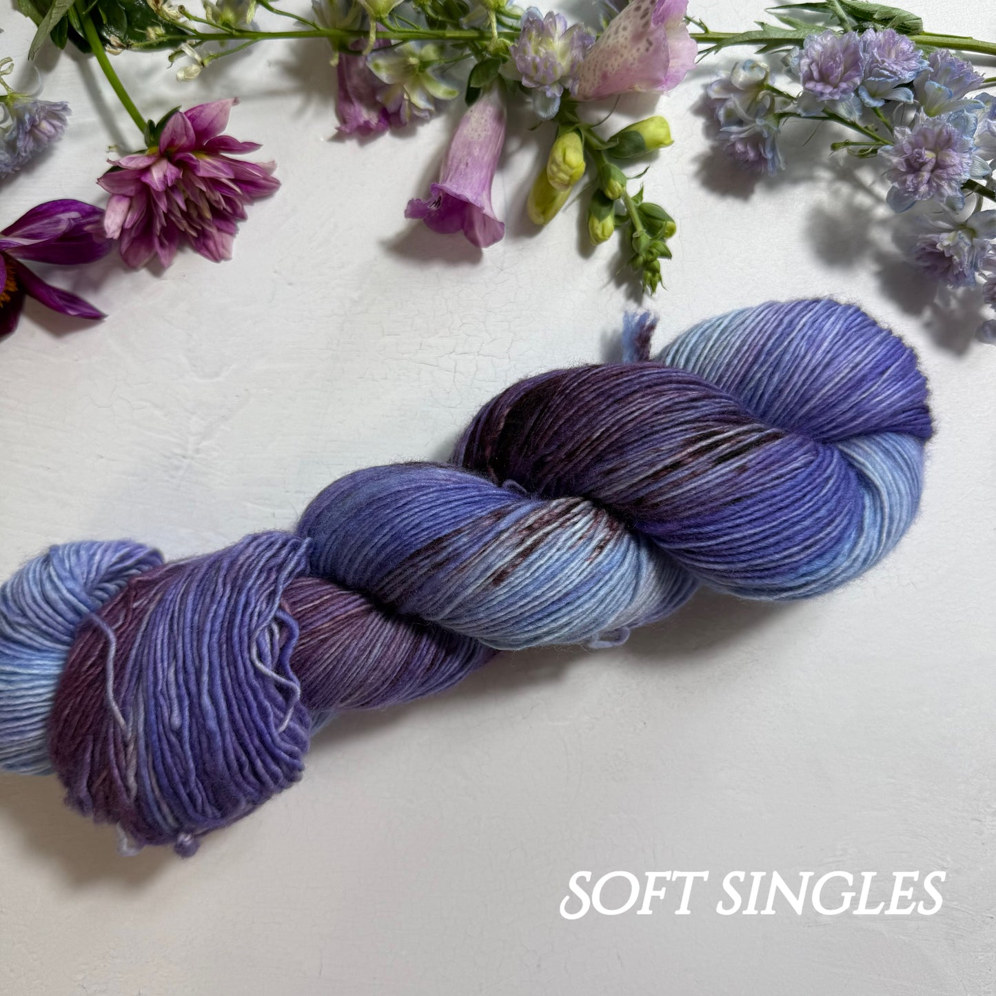 Endless Summer ☀️
